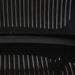 Pamono Aaron Chair from Herman Miller Clearance