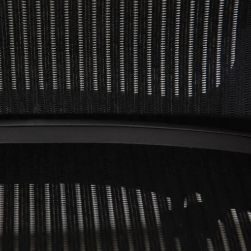 Pamono Aaron Chair from Herman Miller Clearance
