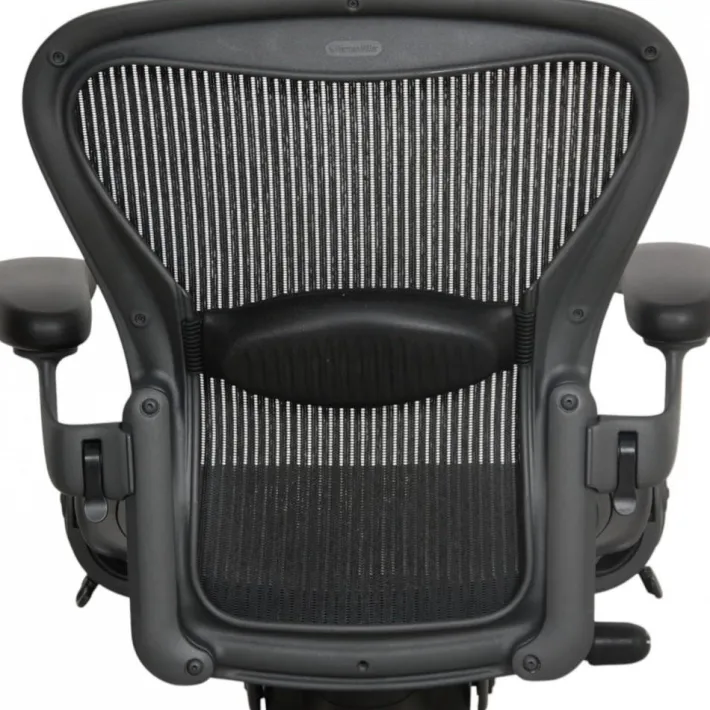 Pamono Aaron Chair from Herman Miller Clearance