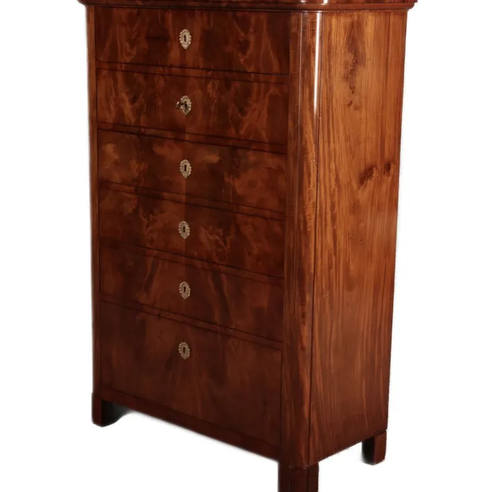 Pamono Antique Biedermeier Chest of Drawers in Mahogany, 1830 Best