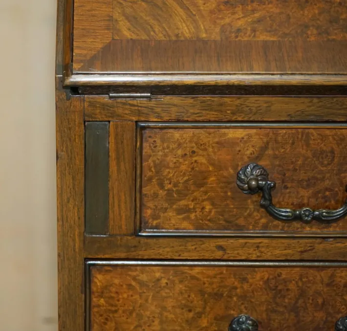 Pamono Antique Burr and Burl Walnut Secretaire, 1900s Outlet