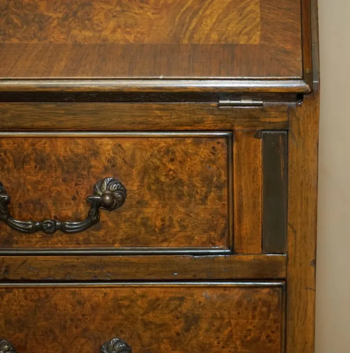 Pamono Antique Burr and Burl Walnut Secretaire, 1900s Outlet
