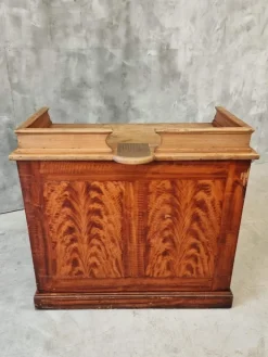 Pamono Antique Counter Shop in Elm, 1890s Sale