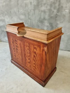 Pamono Antique Counter Shop in Elm, 1890s Sale