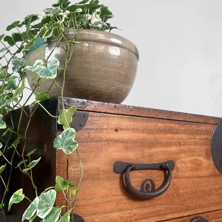 Pamono Antique Japanese Meiji Tansu Chest of Drawers, 1900s Best