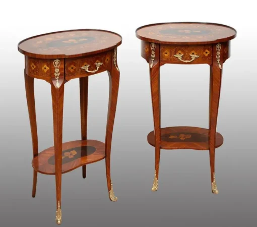 Pamono Antique Napoleon III Bedside Tables in Exotic Fine Woods, France, 19th Century, Set of 2
