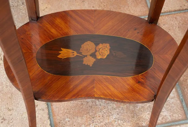 Pamono Antique Napoleon III Bedside Tables in Exotic Fine Woods, France, 19th Century, Set of 2