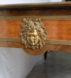 Pamono Antique Napoleon III French Exotic Wood Desk with Gilded Bronze Elements, France, 19th Century Sale