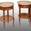 Pamono Antique Napoleon III Side Tables in Exotic Fine Woods, France, Early 20th Century, Set of 2 New
