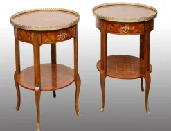Pamono Antique Napoleon III Side Tables in Exotic Fine Woods, France, Early 20th Century, Set of 2 New