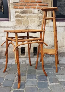 Pamono Bamboo Living Room Set by Giusto Puri Purini, 1950s, Set of 10 Online