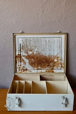 Pamono Bauhaus Pharmacy Cabinet, 1940s Best