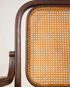 Pamono Bench by Michael Thonet for Thonet, 1819 Best