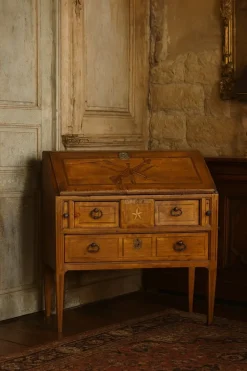 Pamono Burgundy Castle Sloping Desk with Allegorical Marquetry and Secret Drawer 18th Century Discount