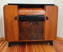 Pamono Cabinet by J. Halabala for Up Závody, 1930s Clearance