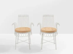 Pamono Cap Dail Chairs by Mathieu Mategot, 1950s, Set of 2 Sale