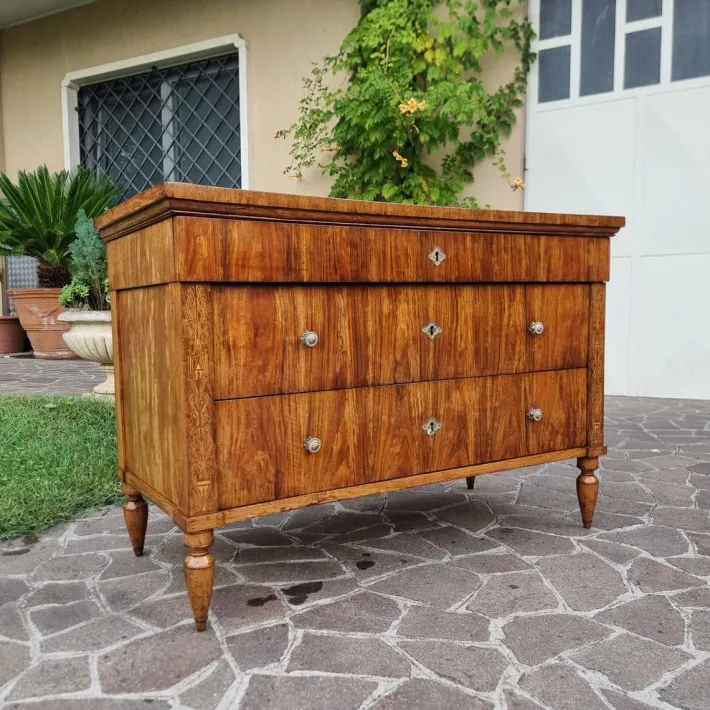 Pamono Charles X Faenza Walnut Chest of Drawers, 1810 New