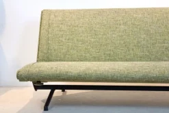 Pamono D70 Sofa Daybed attributed to Osvaldo Borsani for Tecno, 1954 Sale