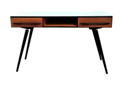 Pamono Desk by M. Pozar for Up Závody, Former Czechoslovakia, 1960s Sale