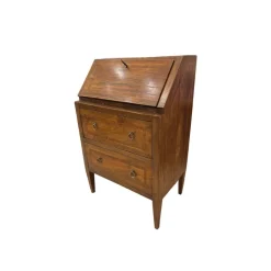 Pamono Directory Style Bureau Secretaire, France, 19th Century