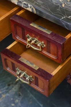 Pamono Dressing Table by Emil Gerstel, Prague, 1890s Hot