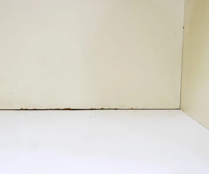 Pamono Dressing Table by Raymond Loewy for Doubinsky Frères, 1960s Clearance