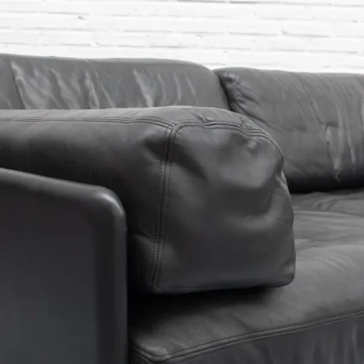 Pamono DS-76 2-Seater Sofa from de Sede, 1970s Sale