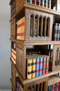 Pamono Early 20th Century Revolving Bookcase, 1890s