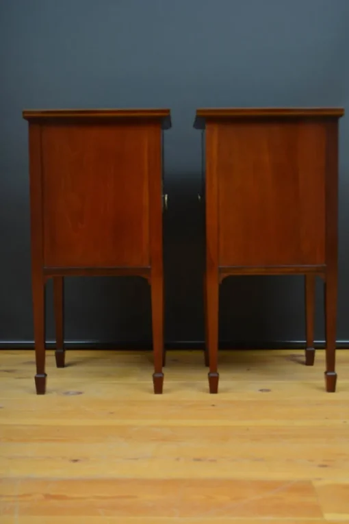 Pamono Edwardian Bedside Cabinets in Mahogany, 1900, Set of 2 Best