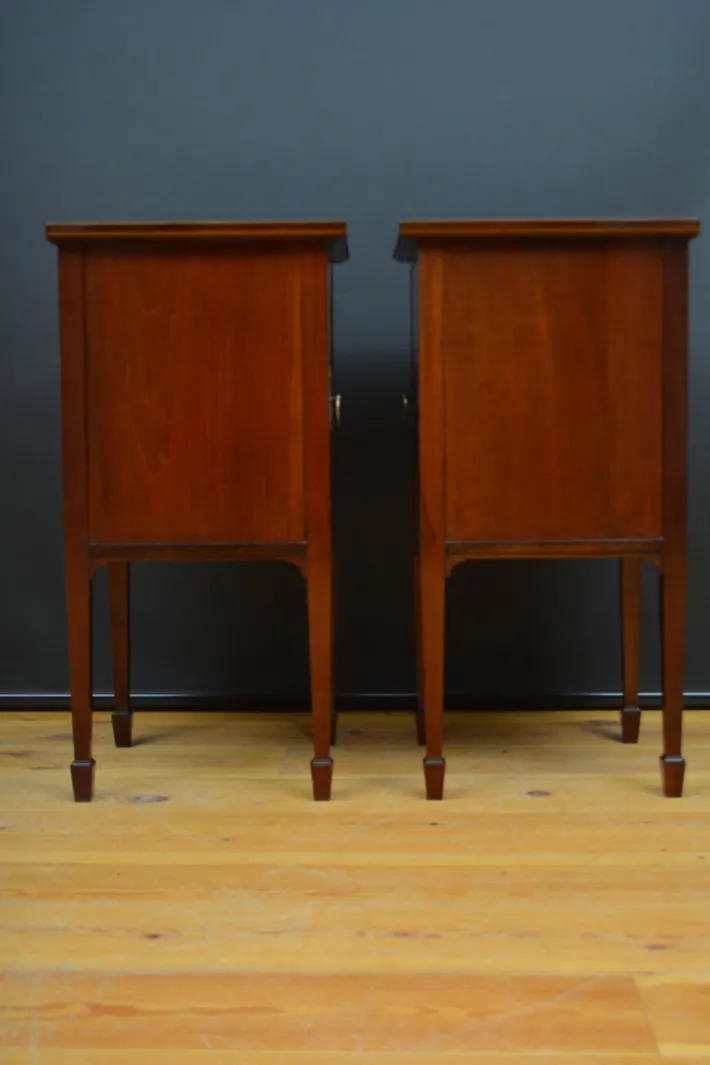 Pamono Edwardian Bedside Cabinets in Mahogany, 1900, Set of 2 Best
