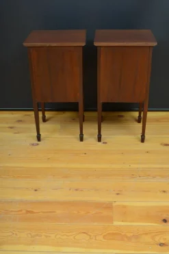 Pamono Edwardian Bedside Cabinets in Mahogany, 1900, Set of 2 Best
