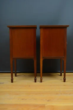 Pamono Edwardian Bedside Cabinets in Mahogany, 1900, Set of 2 Best