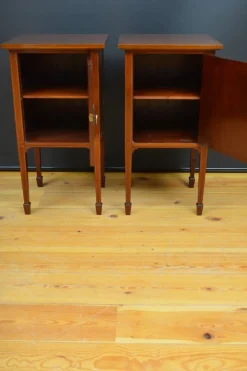 Pamono Edwardian Bedside Cabinets in Mahogany, 1900, Set of 2 Best