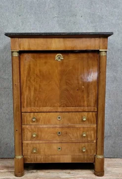Pamono Empire Mahogany Secretary, 1820