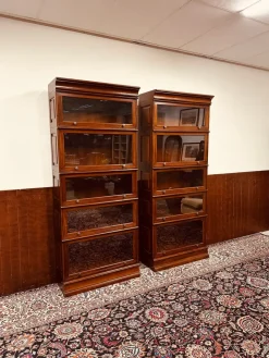 Pamono English Globe Wernicke Style Bookcase New