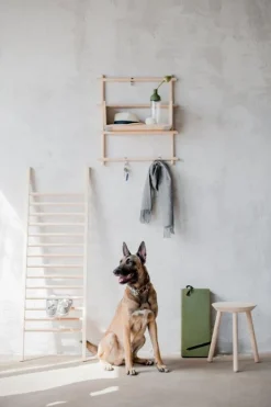 Pamono Foldin Shelving Unit by etc.etc. for Emko Best