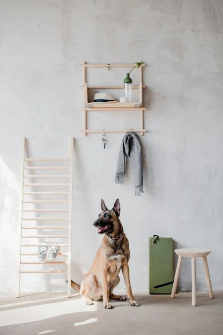 Pamono Foldin Shelving Unit by etc.etc. for Emko Best