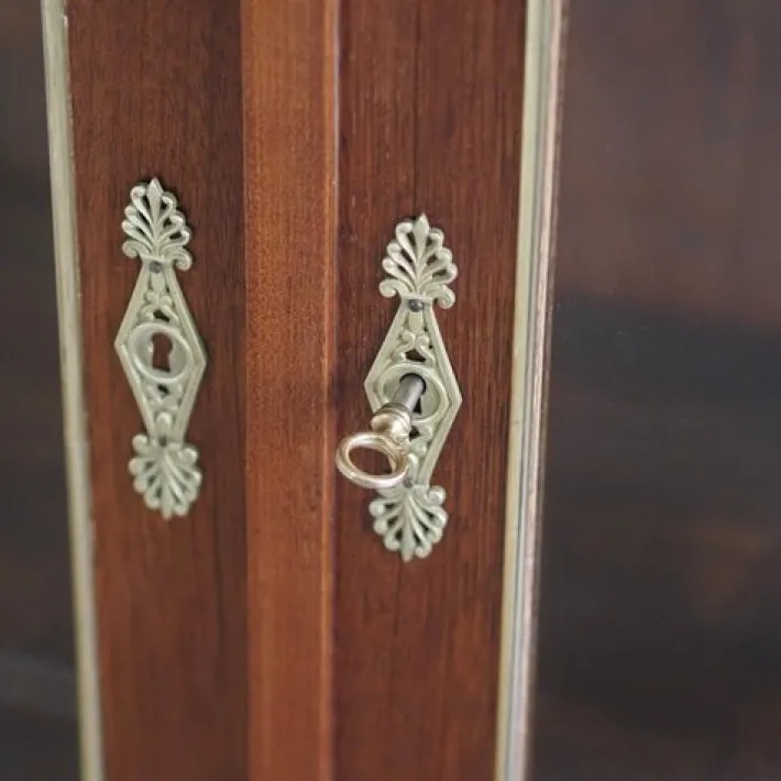 Pamono French Empire Showcase with Brass, 1850s Clearance