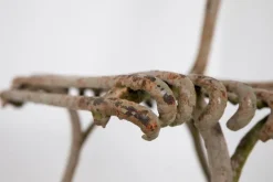 Pamono French Wrought Iron Garden Chair from Arras, 1900s Sale