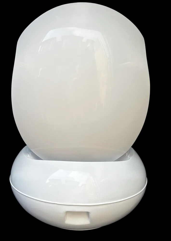 Pamono Garden Egg Chair by Peter Ghyczy for Reuters, 1960s Clearance