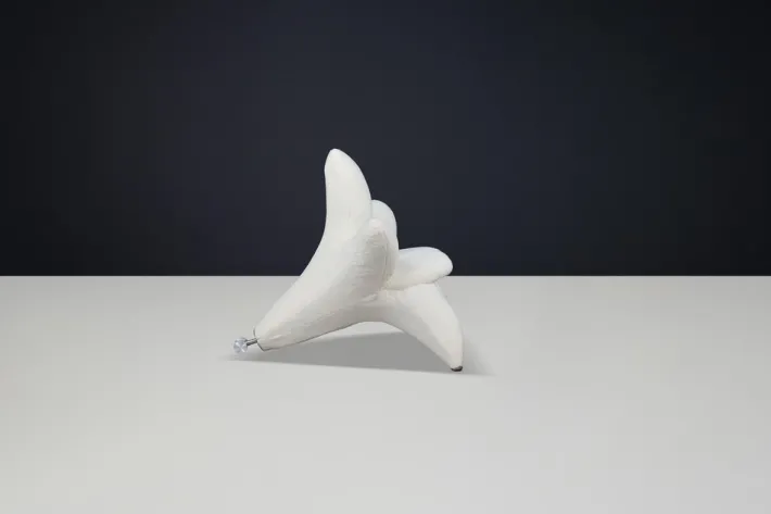 Pamono Getsuen Lily Chair by Masanori Umeda for Edra, Italy, 1990 Best