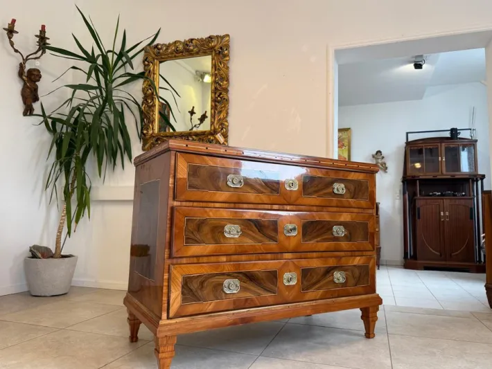 Pamono Josephinian Chest of Drawers in Walnut Online