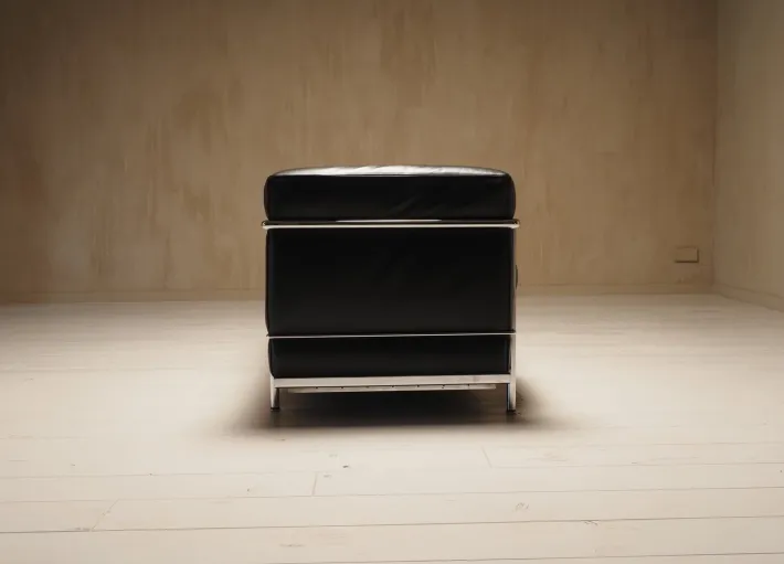 Pamono LC2 2-Seater Sofa by Charlotte Perriand and Le Corbusier, 1990s Hot