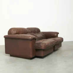 Pamono Leather Adjustable Ds101 2-Seater Sofa from de Sede, 1970s Outlet