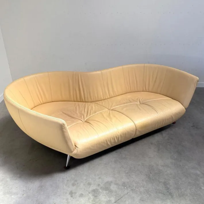 Pamono Leather Sofa from De Sede Online