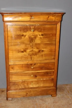 Pamono Louis Philippe Secretary in Walnut, 19th Century Discount