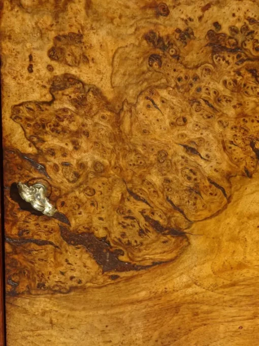 Pamono Louis Philippe Walnut and Burl Walnut Bedside Table Discount