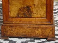Pamono Louis Philippe Walnut and Burl Walnut Bedside Table Discount