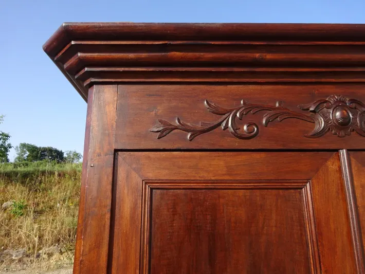 Pamono Louis Philippe Walnut Wardrobe, 1890s Hot
