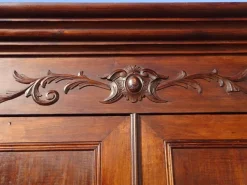 Pamono Louis Philippe Walnut Wardrobe, 1890s Hot